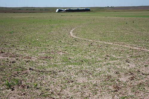 Property photo 17 - LAND AUCTION, 3255+/- Acres offered in 13 Tracts